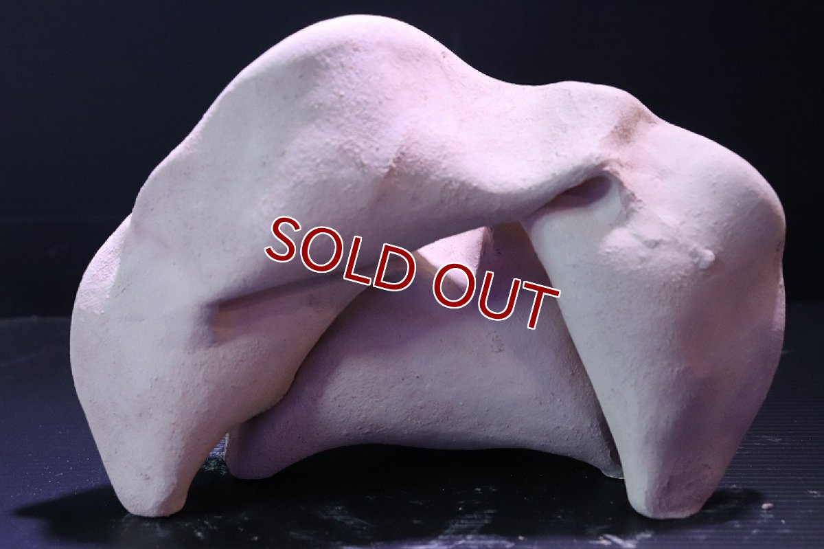 画像5: 【熱帯魚 シェルター】シェルタクラフタ No9 どら焼き型4連結シェルター【個体販売】(淡水) (5)