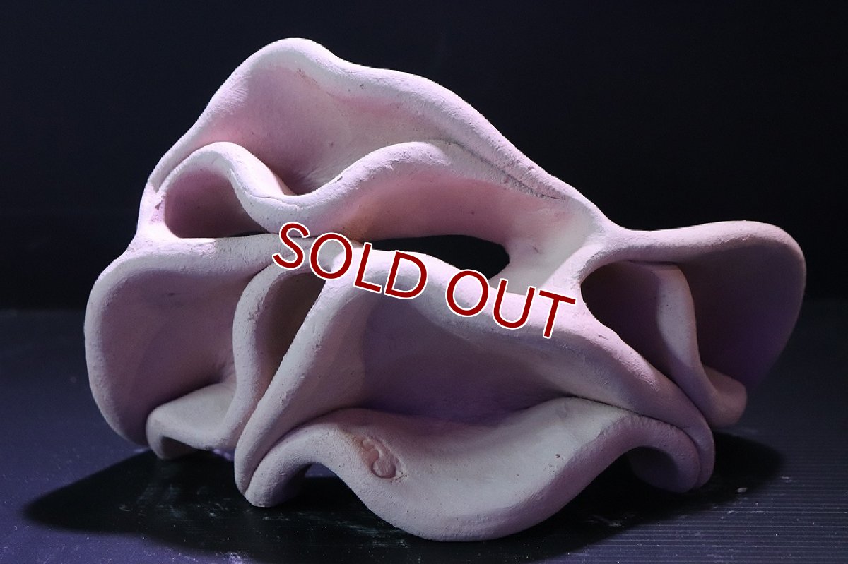 画像2: 【熱帯魚 シェルター】シェルタクラフタ No10 どら焼き型4連結シェルター【個体販売】(淡水) (2)