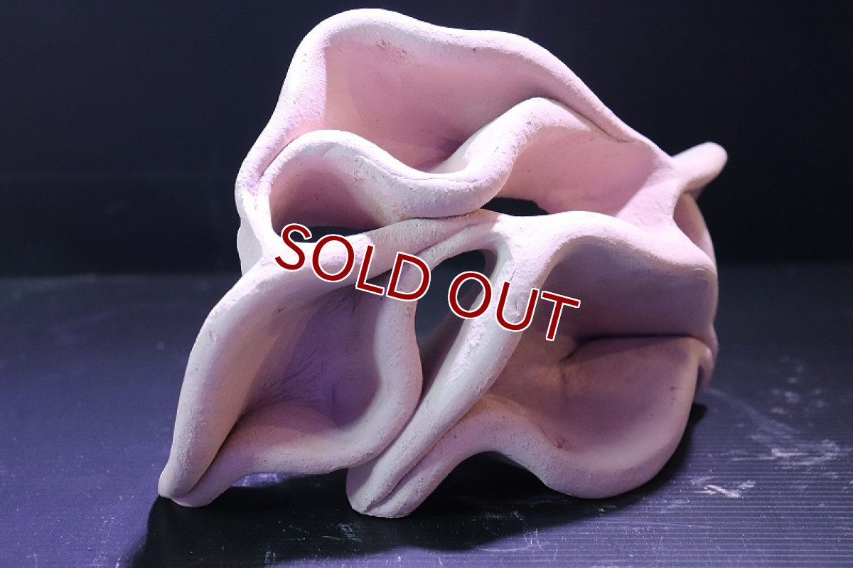 画像3: 【熱帯魚 シェルター】シェルタクラフタ No10 どら焼き型4連結シェルター【個体販売】(淡水) (3)