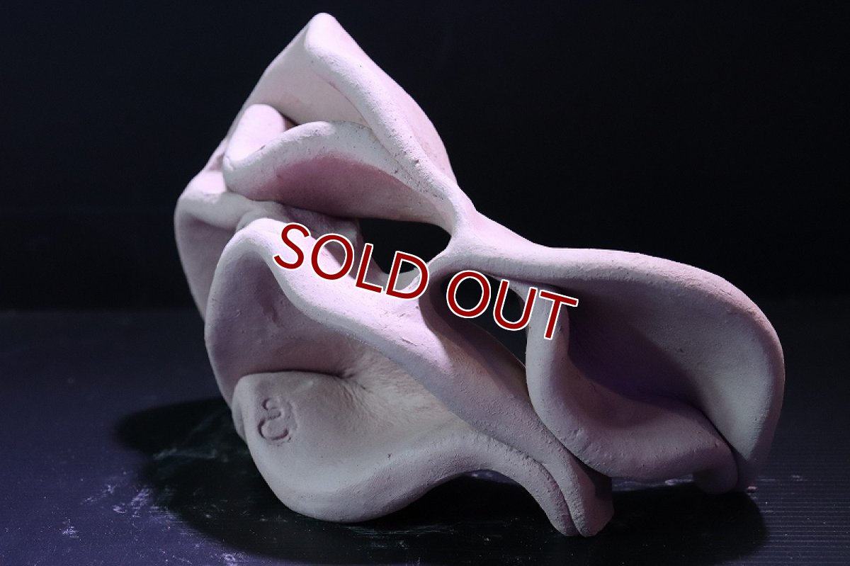 画像4: 【熱帯魚 シェルター】シェルタクラフタ No10 どら焼き型4連結シェルター【個体販売】(淡水) (4)