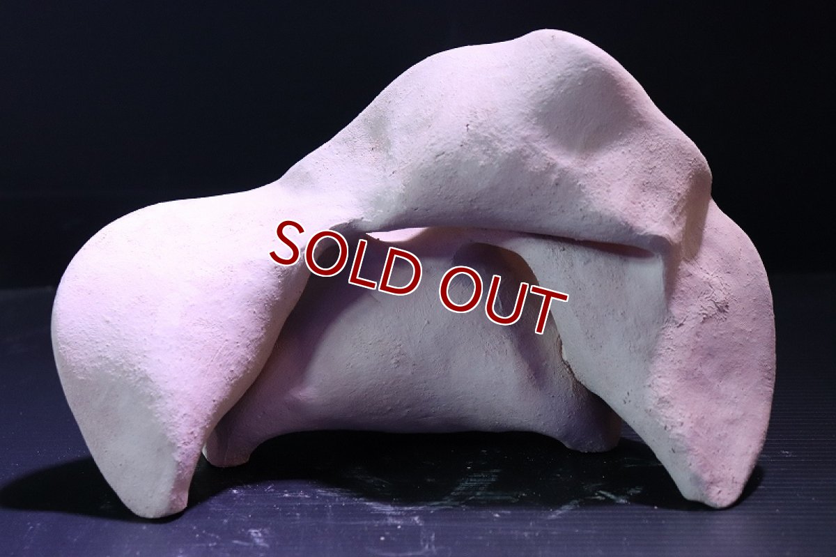 画像5: 【熱帯魚 シェルター】シェルタクラフタ No10 どら焼き型4連結シェルター【個体販売】(淡水) (5)