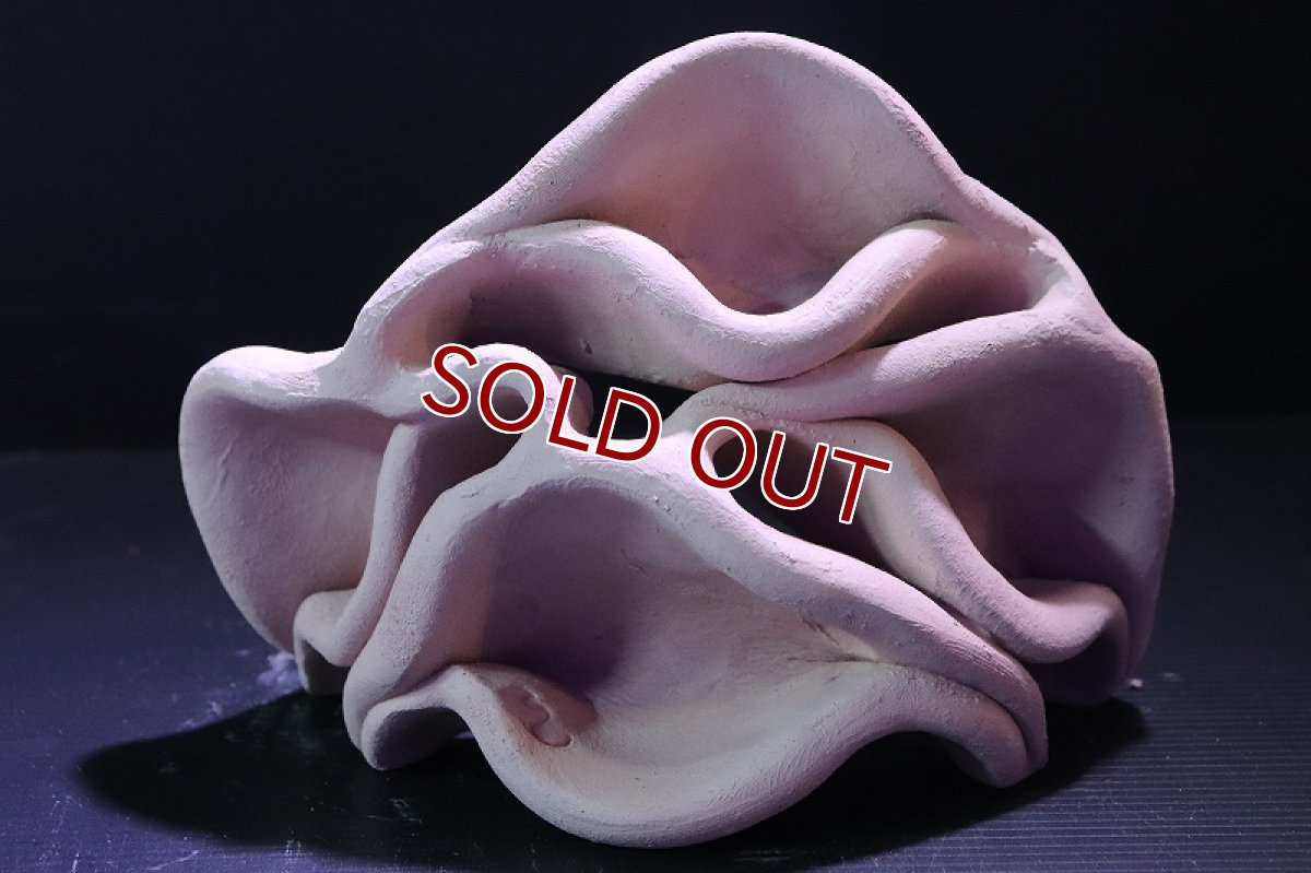 画像2: 【熱帯魚 シェルター】シェルタクラフタ No11 どら焼き型4連結シェルター【個体販売】(淡水) (2)