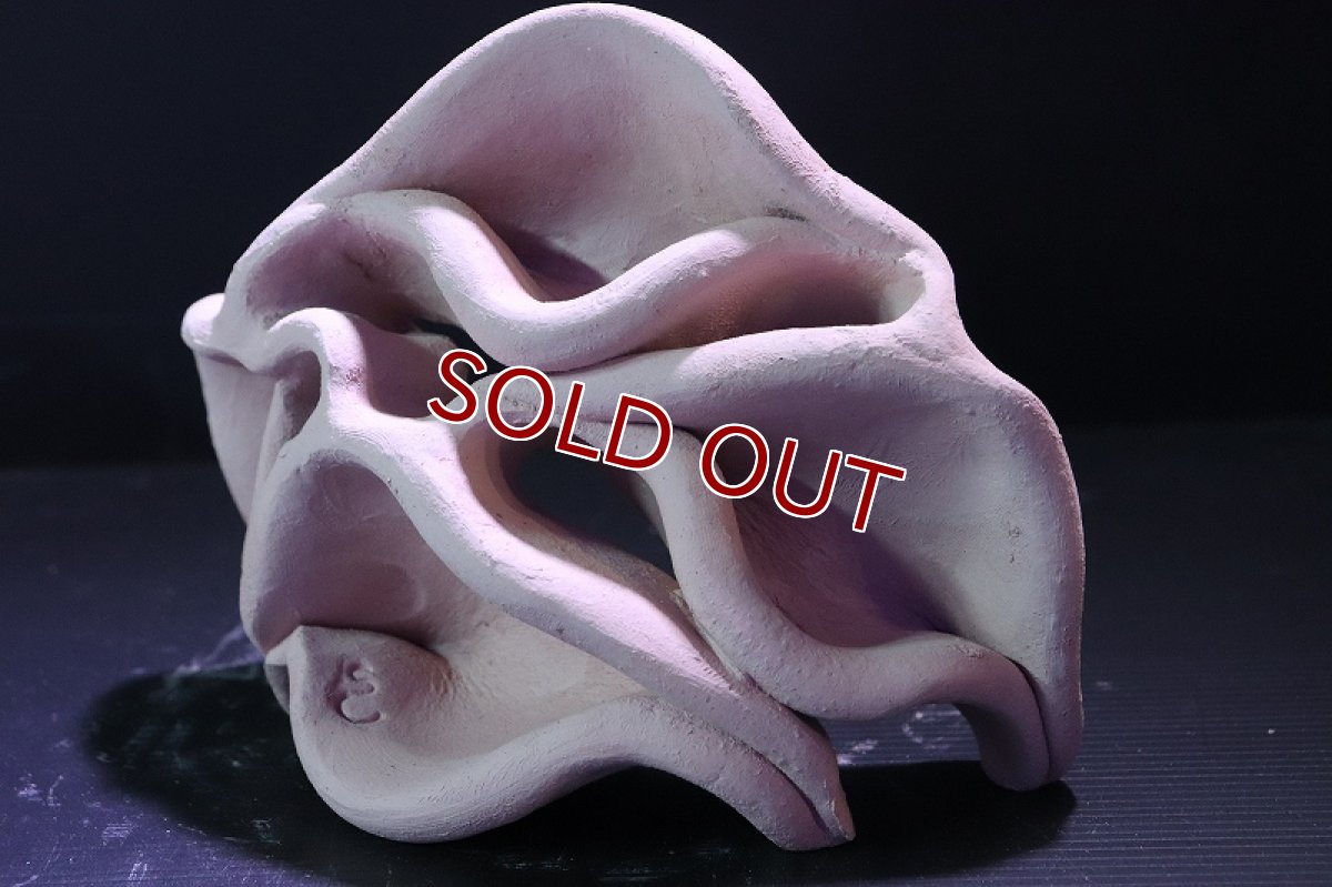 画像4: 【熱帯魚 シェルター】シェルタクラフタ No11 どら焼き型4連結シェルター【個体販売】(淡水) (4)