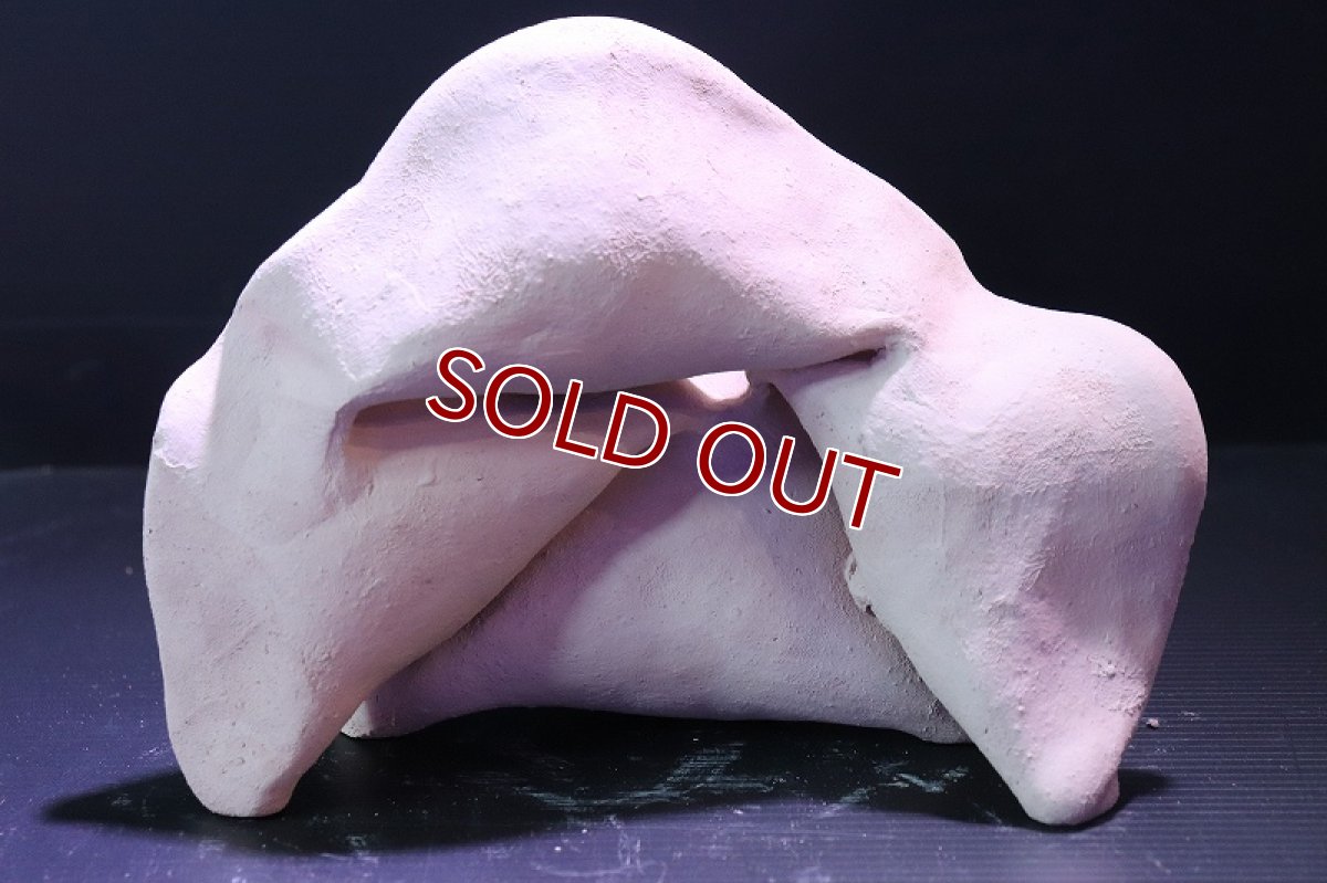 画像5: 【熱帯魚 シェルター】シェルタクラフタ No11 どら焼き型4連結シェルター【個体販売】(淡水) (5)