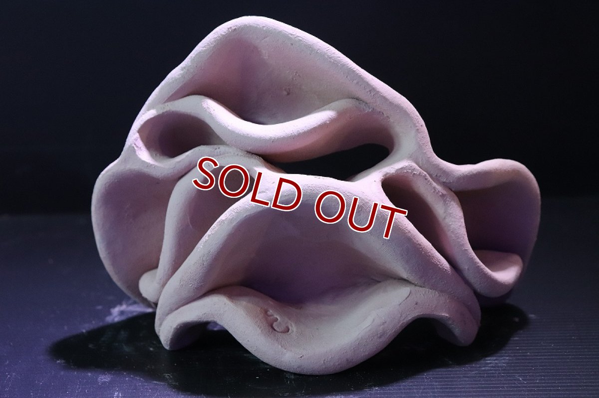 画像2: 【熱帯魚 シェルター】シェルタクラフタ No12 どら焼き型4連結シェルター【個体販売】(淡水) (2)