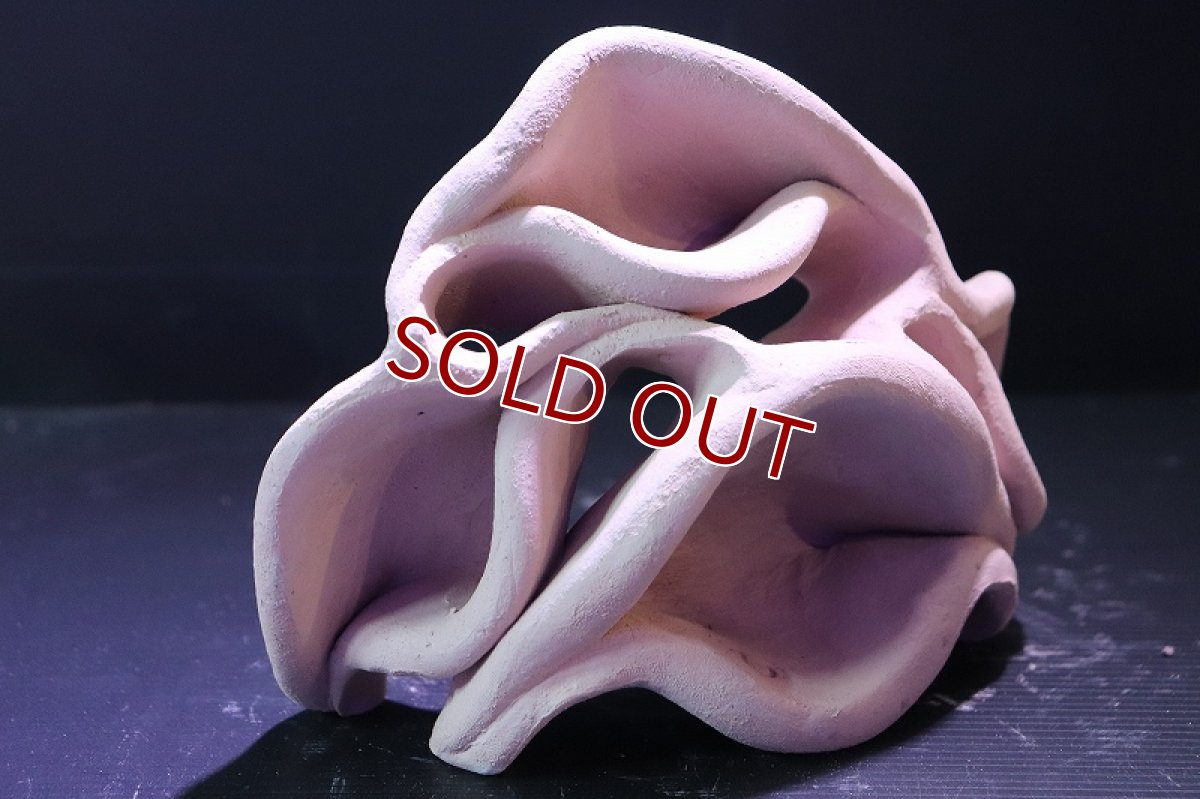 画像3: 【熱帯魚 シェルター】シェルタクラフタ No12 どら焼き型4連結シェルター【個体販売】(淡水) (3)