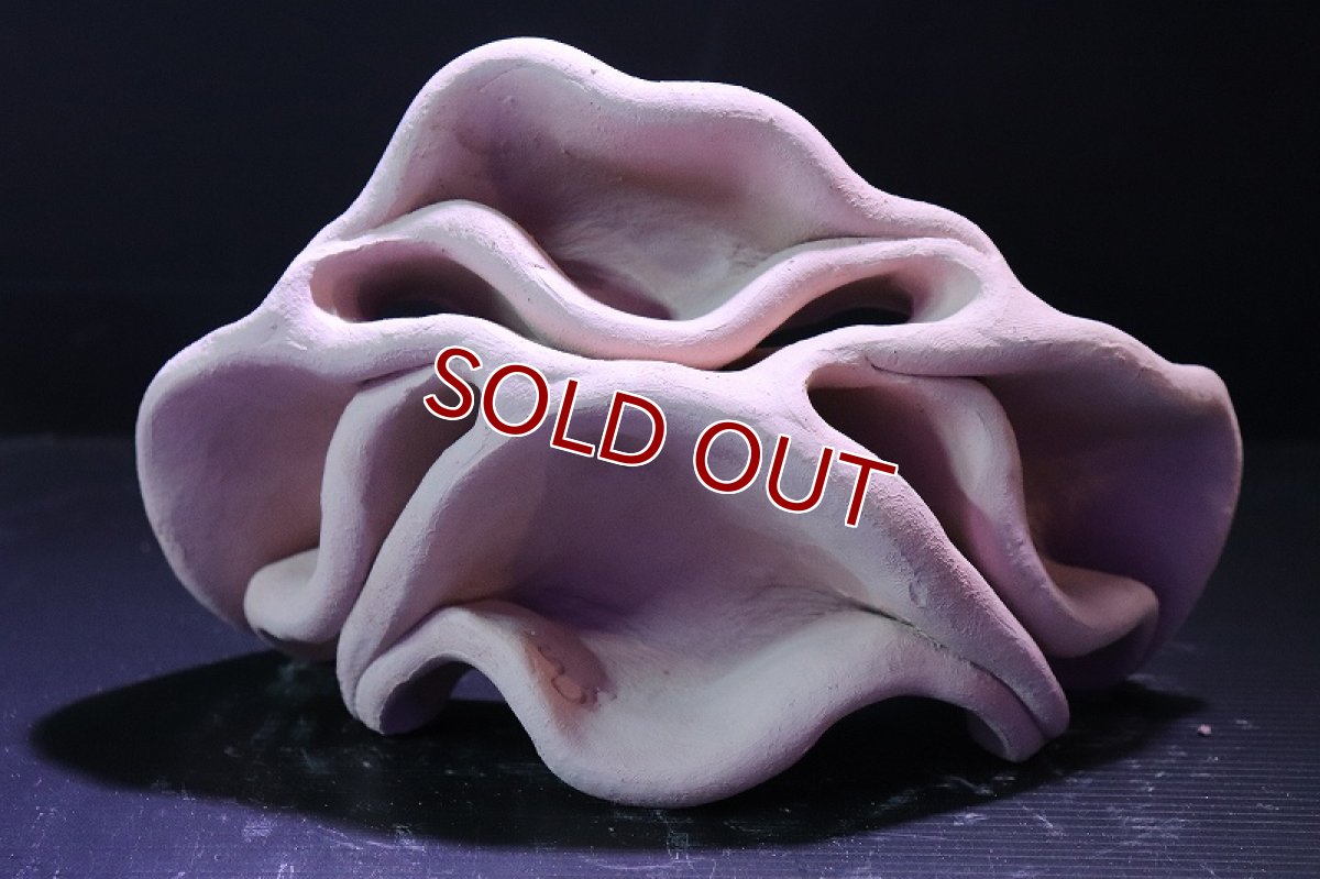 画像2: 【熱帯魚 シェルター】シェルタクラフタ No13 どら焼き型4連結シェルター【個体販売】(淡水) (2)