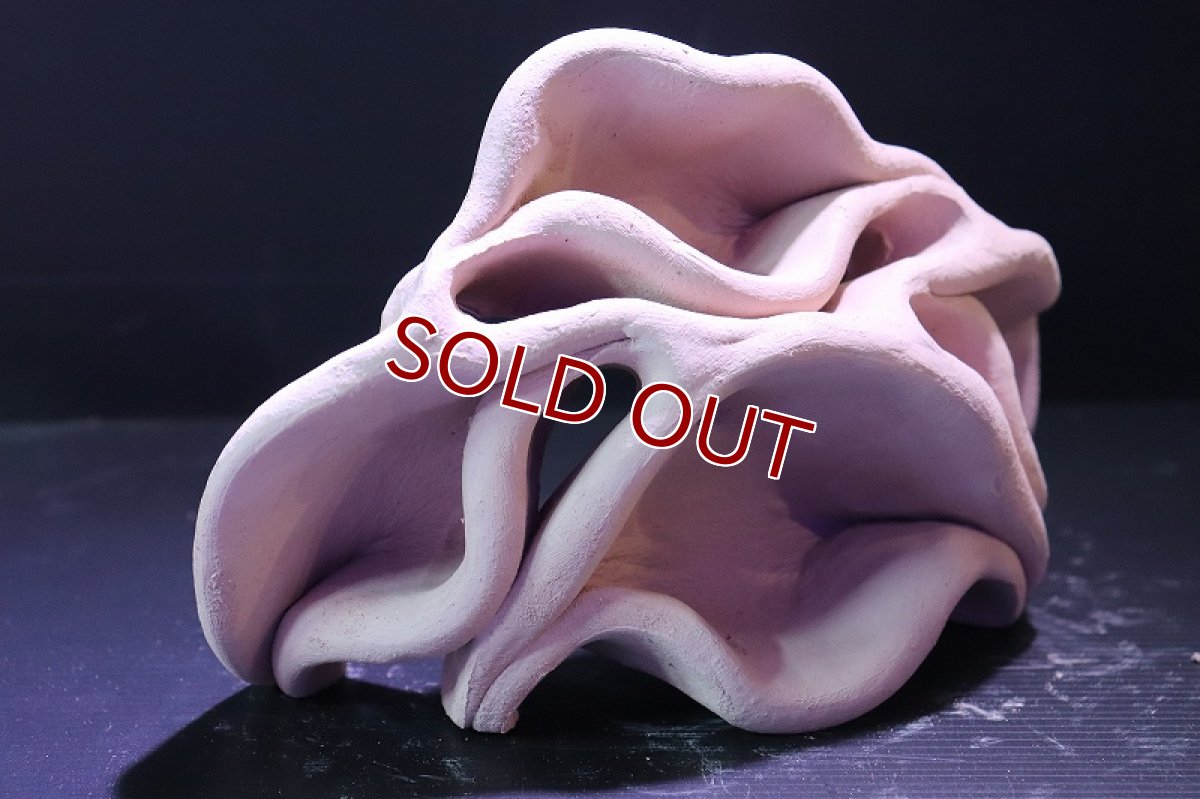 画像3: 【熱帯魚 シェルター】シェルタクラフタ No13 どら焼き型4連結シェルター【個体販売】(淡水) (3)