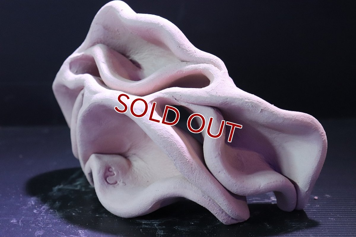 画像4: 【熱帯魚 シェルター】シェルタクラフタ No13 どら焼き型4連結シェルター【個体販売】(淡水) (4)