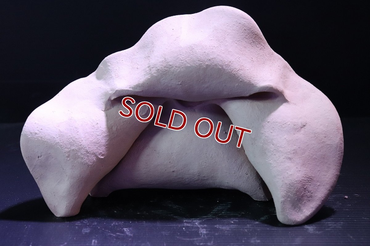 画像5: 【熱帯魚 シェルター】シェルタクラフタ No13 どら焼き型4連結シェルター【個体販売】(淡水) (5)