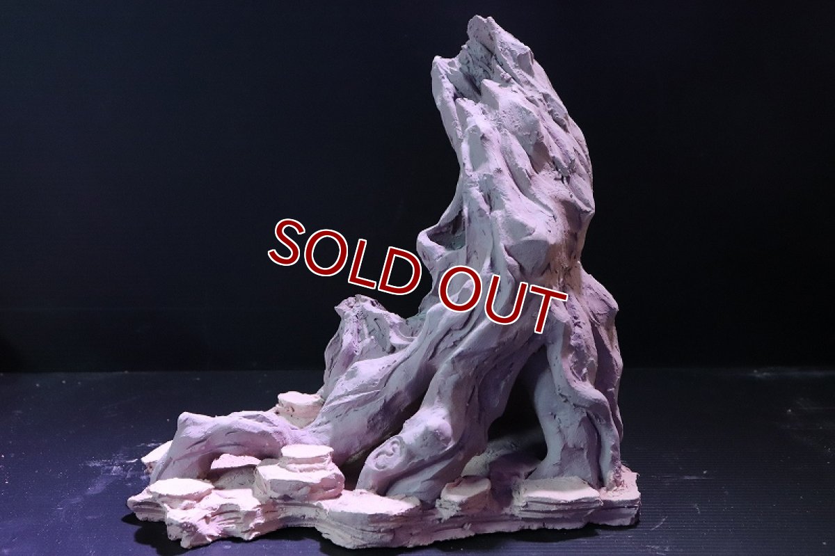 画像2: 【熱帯魚 シェルター】シェルタクラフタ No1 ROOTS Lサイズ シェルター【個体販売】(淡水) (2)