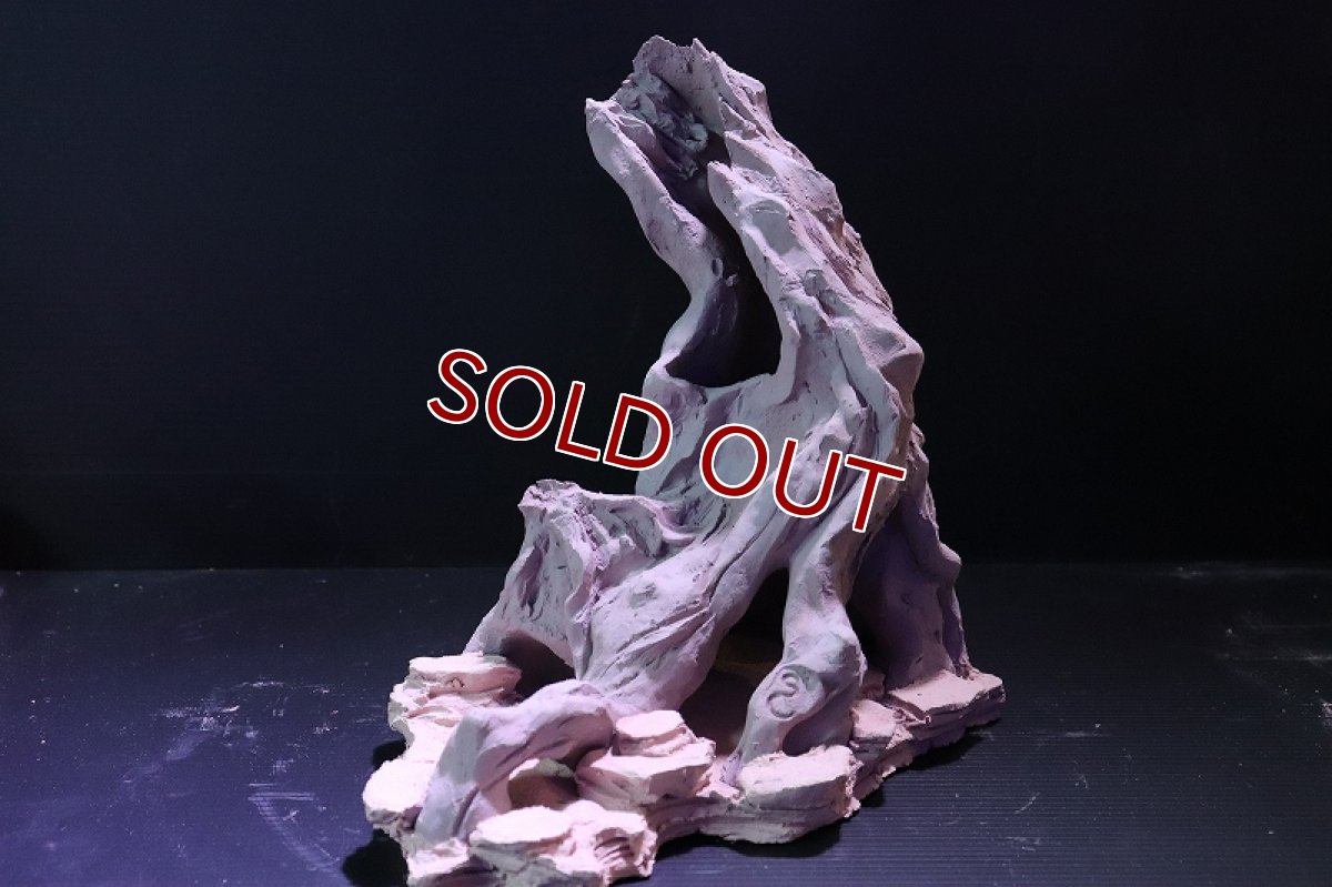 画像3: 【熱帯魚 シェルター】シェルタクラフタ No1 ROOTS Lサイズ シェルター【個体販売】(淡水) (3)