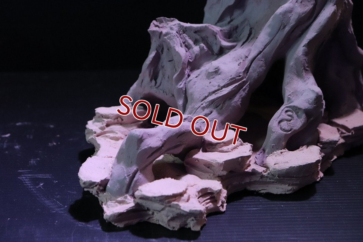 画像4: 【熱帯魚 シェルター】シェルタクラフタ No1 ROOTS Lサイズ シェルター【個体販売】(淡水) (4)