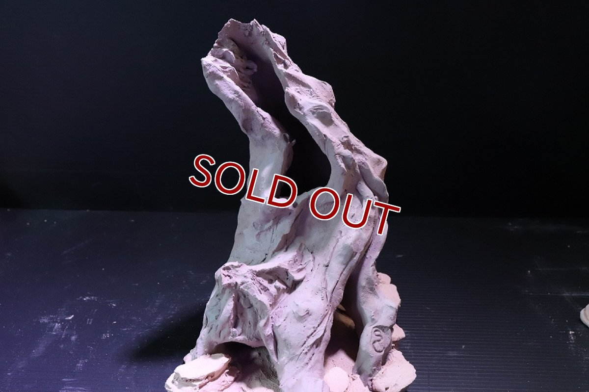 画像5: 【熱帯魚 シェルター】シェルタクラフタ No1 ROOTS Lサイズ シェルター【個体販売】(淡水) (5)