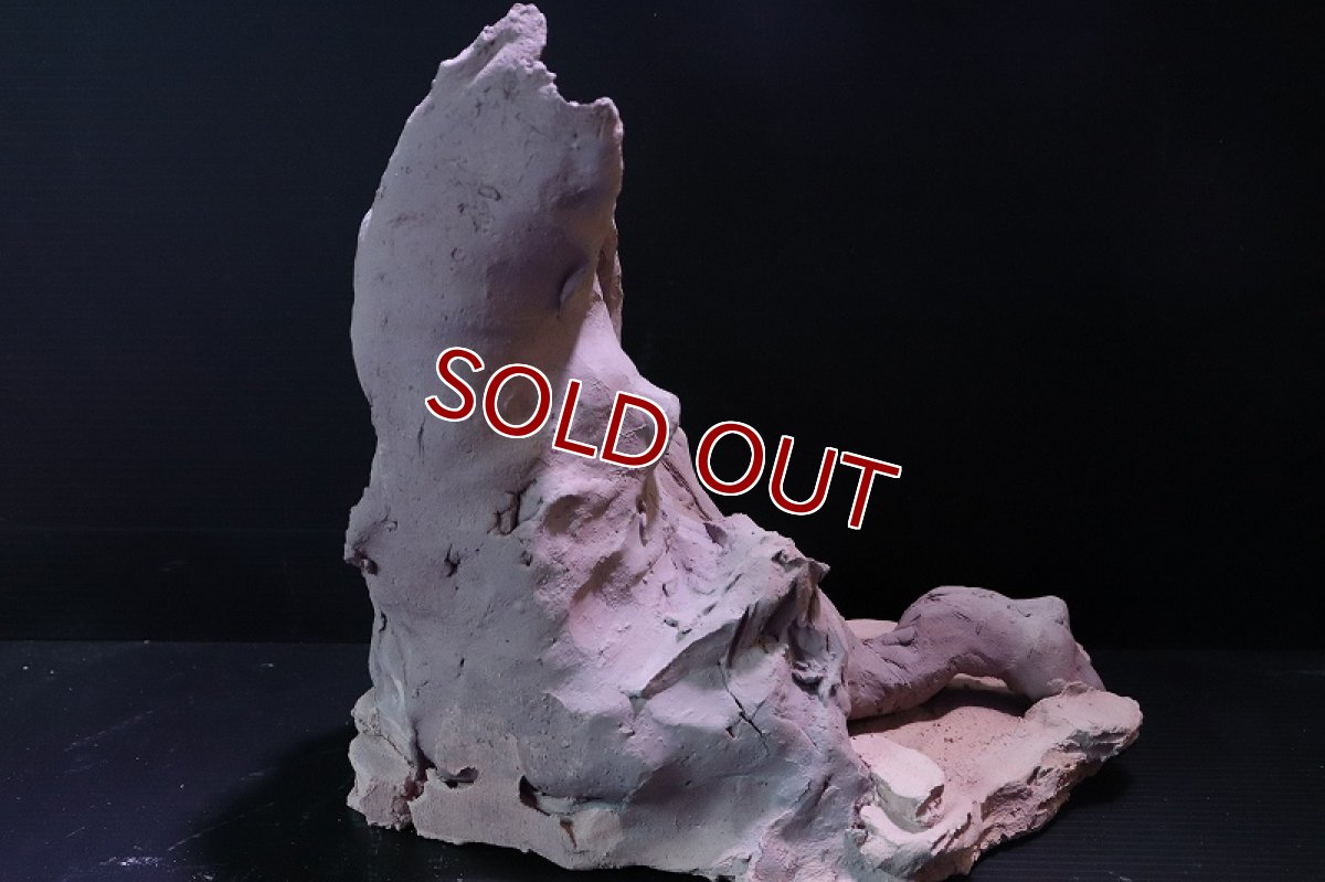 画像7: 【熱帯魚 シェルター】シェルタクラフタ No1 ROOTS Lサイズ シェルター【個体販売】(淡水) (7)