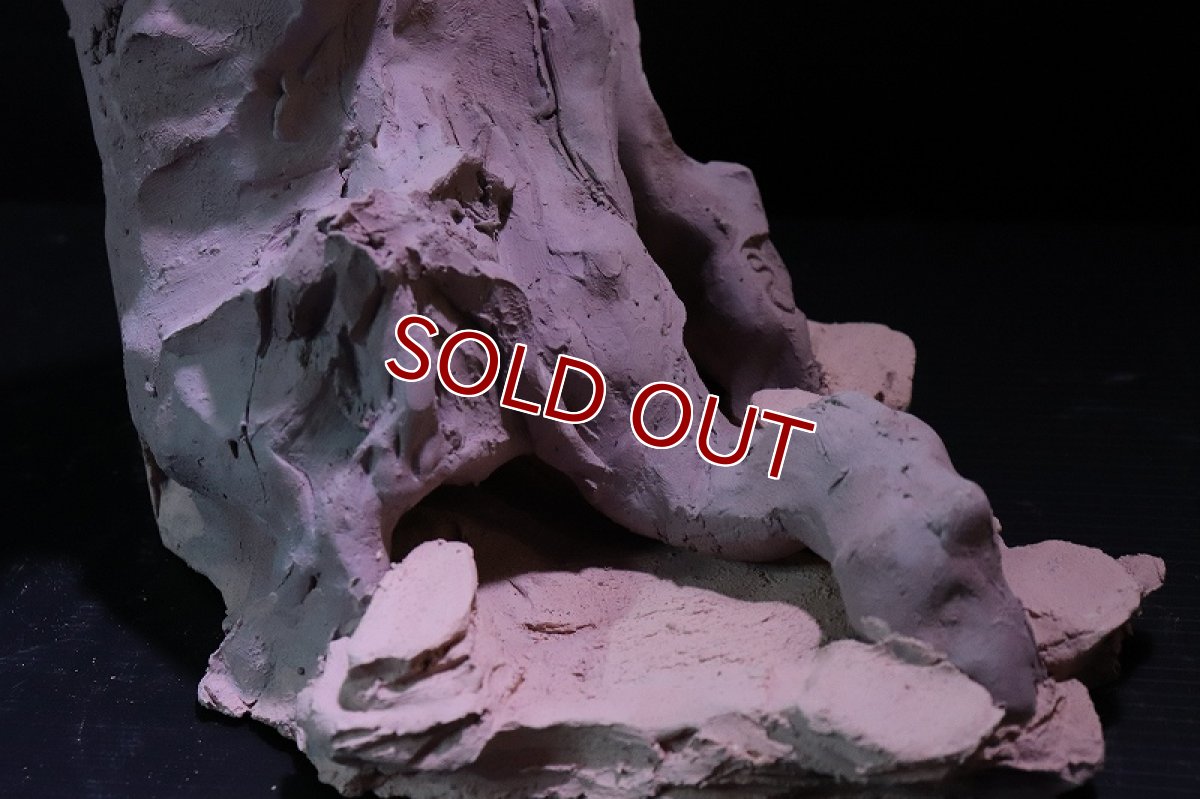 画像8: 【熱帯魚 シェルター】シェルタクラフタ No1 ROOTS Lサイズ シェルター【個体販売】(淡水) (8)