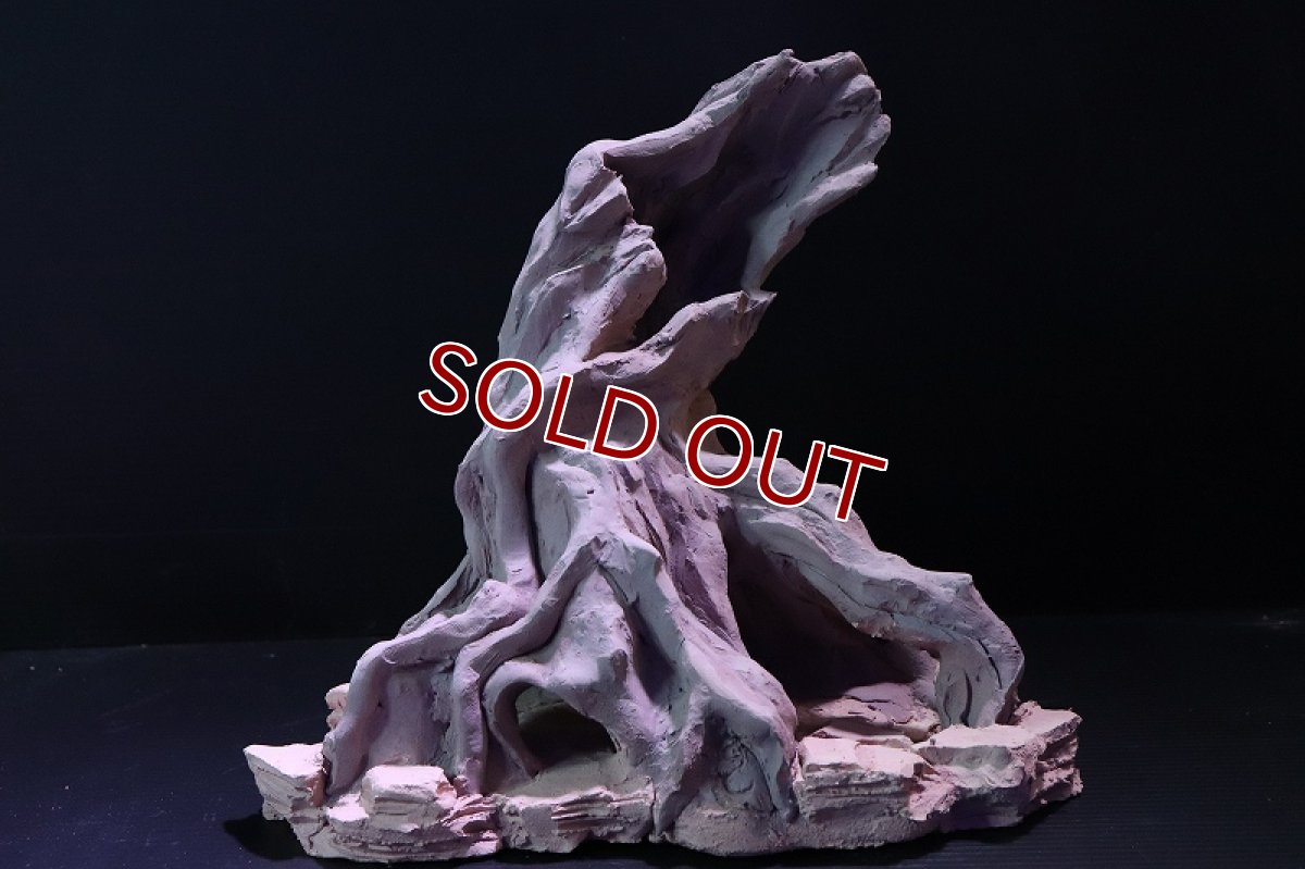 画像2: 【熱帯魚 シェルター】シェルタクラフタ No2 ROOTS Lサイズ シェルター【個体販売】(淡水) (2)