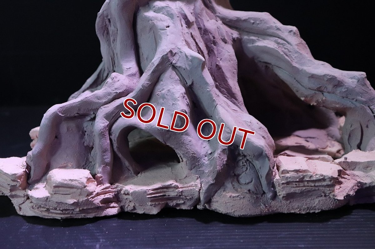 画像3: 【熱帯魚 シェルター】シェルタクラフタ No2 ROOTS Lサイズ シェルター【個体販売】(淡水) (3)