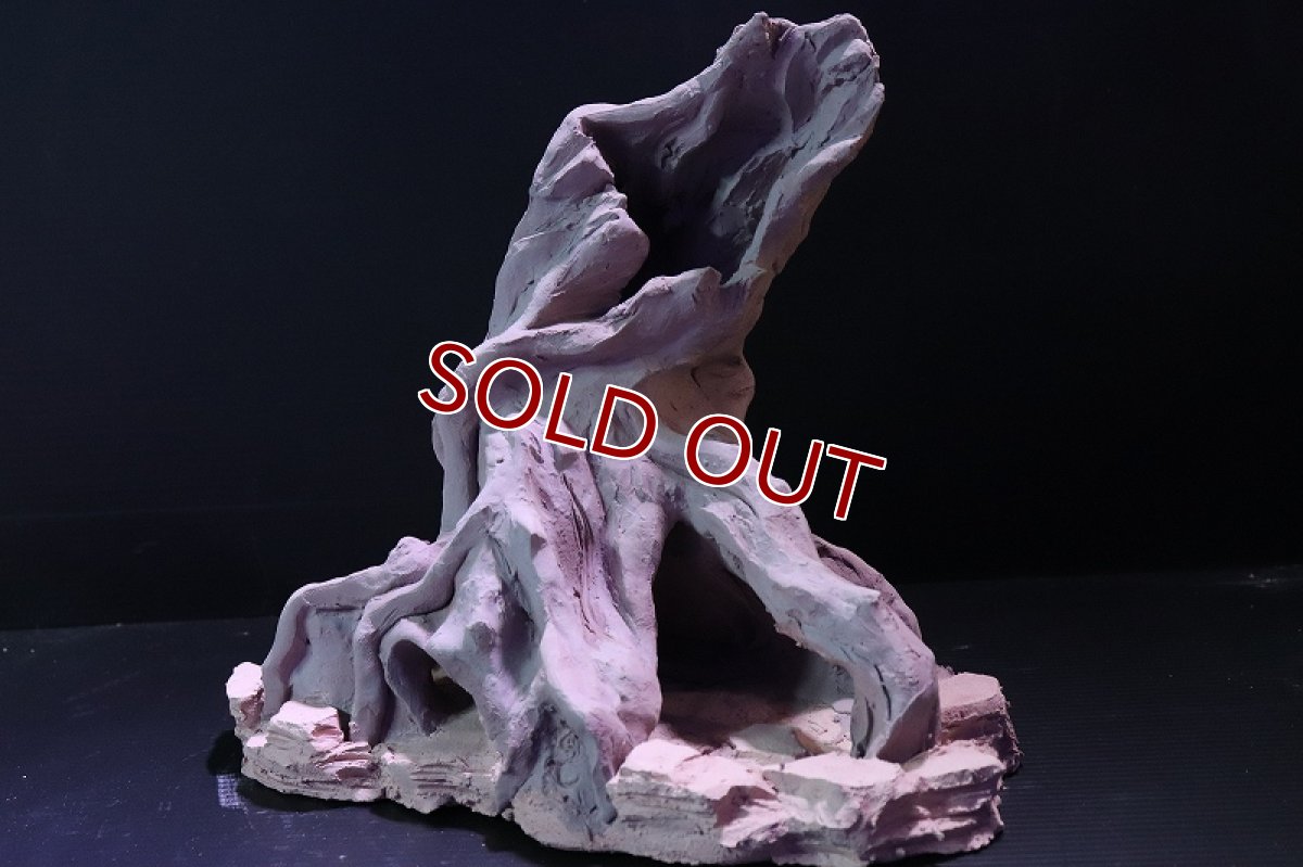 画像4: 【熱帯魚 シェルター】シェルタクラフタ No2 ROOTS Lサイズ シェルター【個体販売】(淡水) (4)