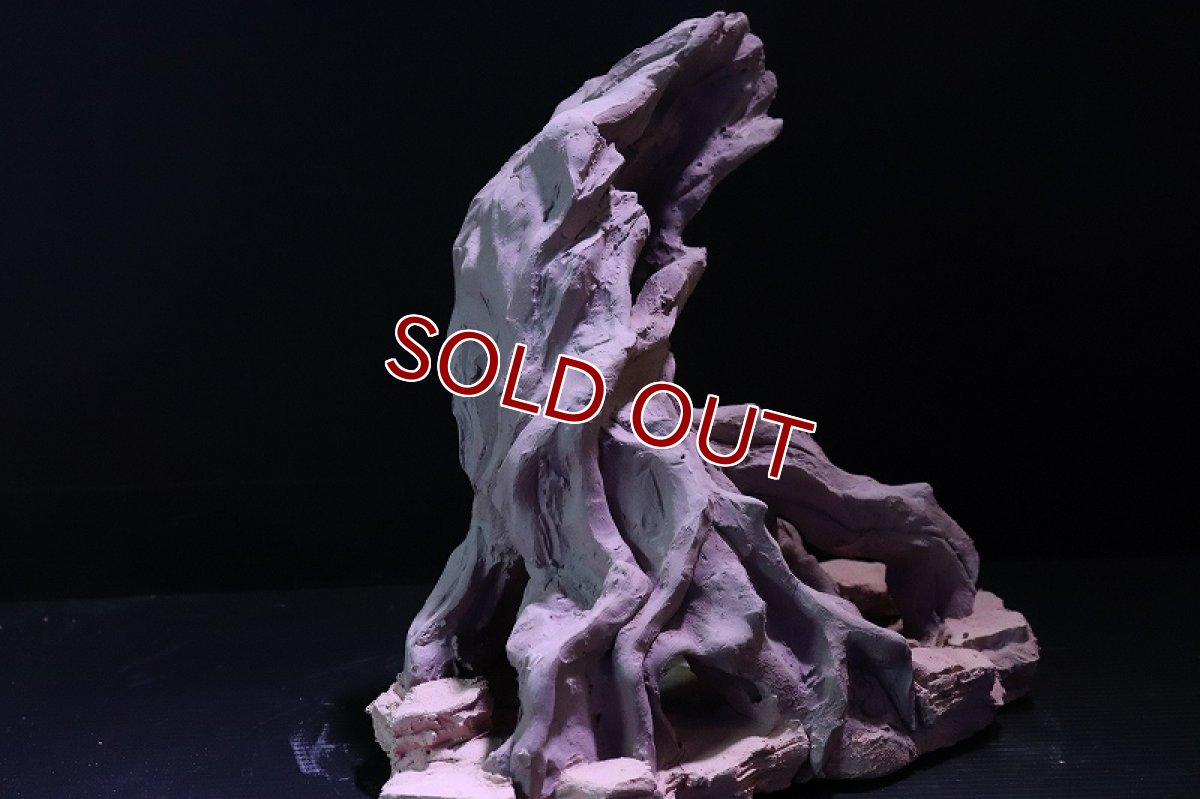 画像6: 【熱帯魚 シェルター】シェルタクラフタ No2 ROOTS Lサイズ シェルター【個体販売】(淡水) (6)