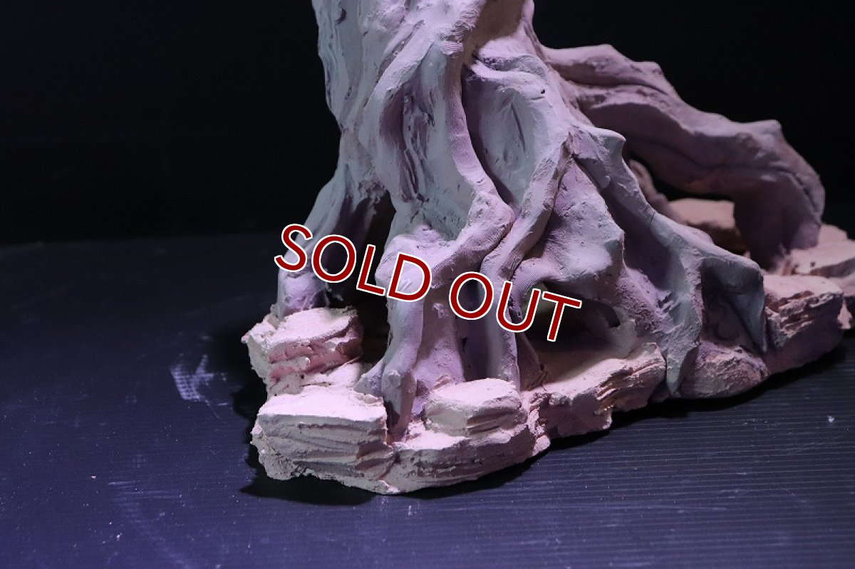 画像7: 【熱帯魚 シェルター】シェルタクラフタ No2 ROOTS Lサイズ シェルター【個体販売】(淡水) (7)