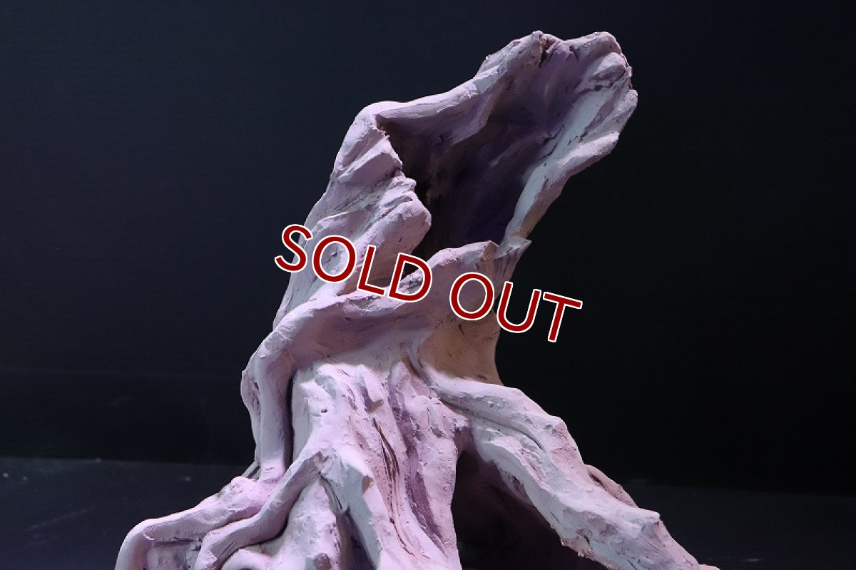 画像9: 【熱帯魚 シェルター】シェルタクラフタ No2 ROOTS Lサイズ シェルター【個体販売】(淡水) (9)