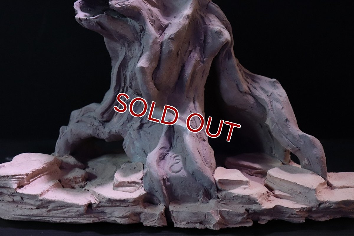 画像3: 【熱帯魚 シェルター】シェルタクラフタ No1 ROOTS XLサイズシェルター【個体販売】(淡水) (3)