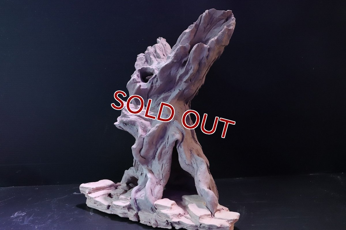 画像4: 【熱帯魚 シェルター】シェルタクラフタ No1 ROOTS XLサイズシェルター【個体販売】(淡水) (4)