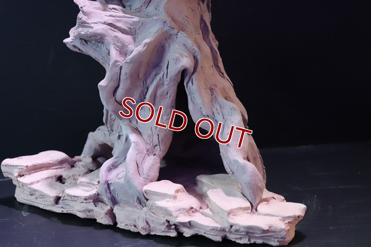 画像5: 【熱帯魚 シェルター】シェルタクラフタ No1 ROOTS XLサイズシェルター【個体販売】(淡水) (5)