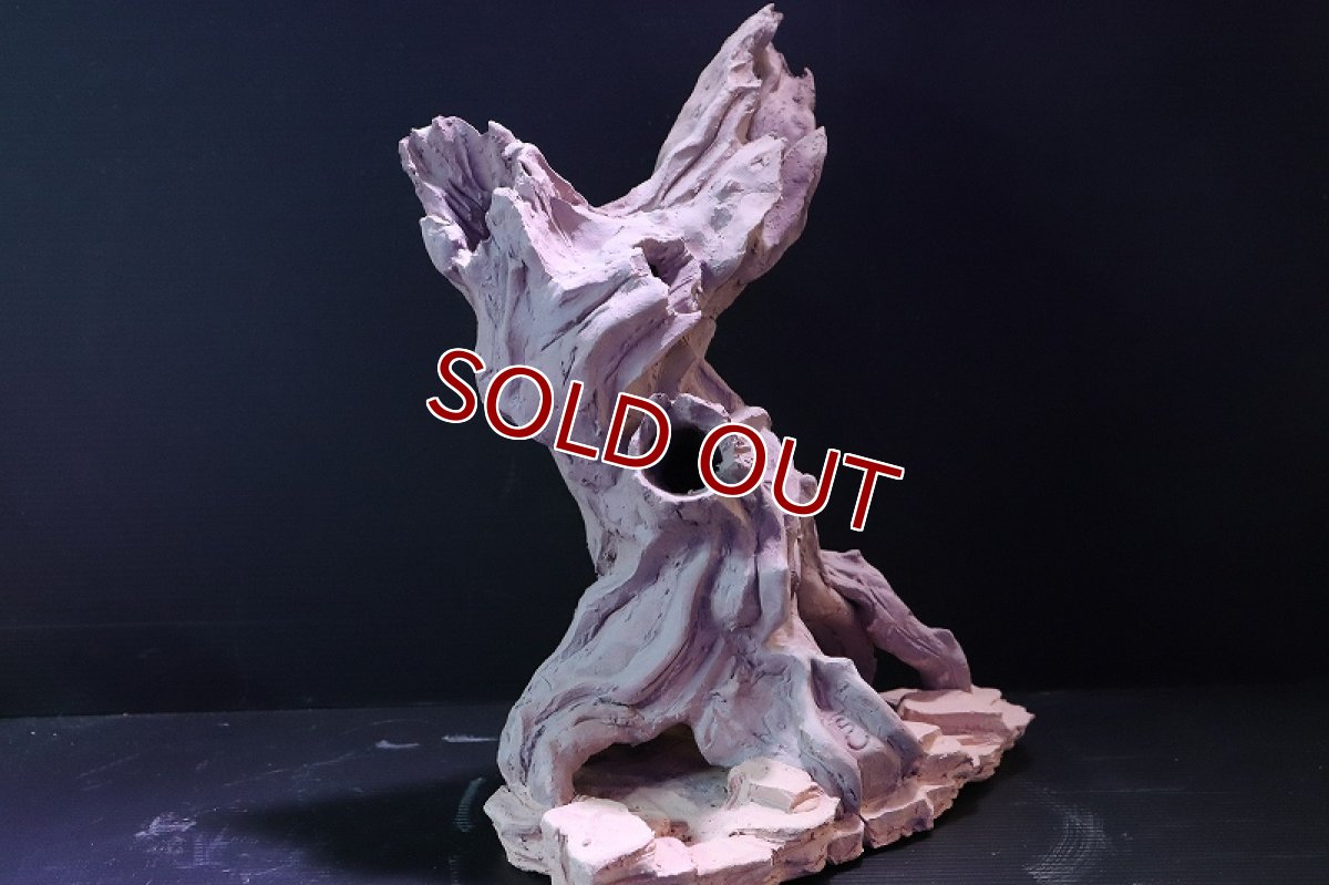 画像6: 【熱帯魚 シェルター】シェルタクラフタ No1 ROOTS XLサイズシェルター【個体販売】(淡水) (6)