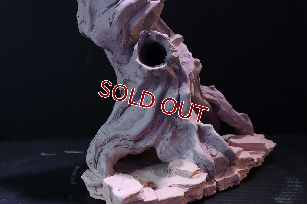 画像7: 【熱帯魚 シェルター】シェルタクラフタ No1 ROOTS XLサイズシェルター【個体販売】(淡水) (7)