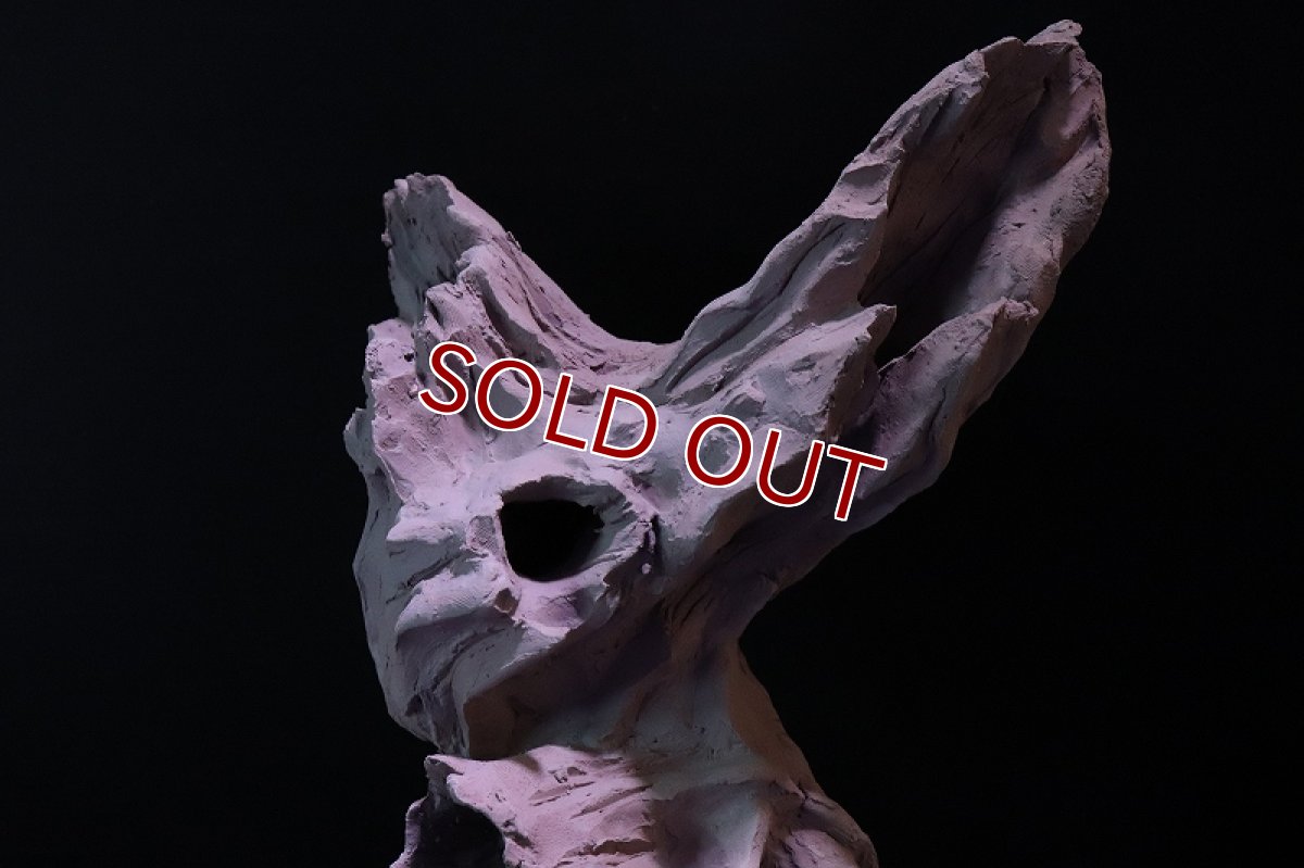 画像8: 【熱帯魚 シェルター】シェルタクラフタ No1 ROOTS XLサイズシェルター【個体販売】(淡水) (8)