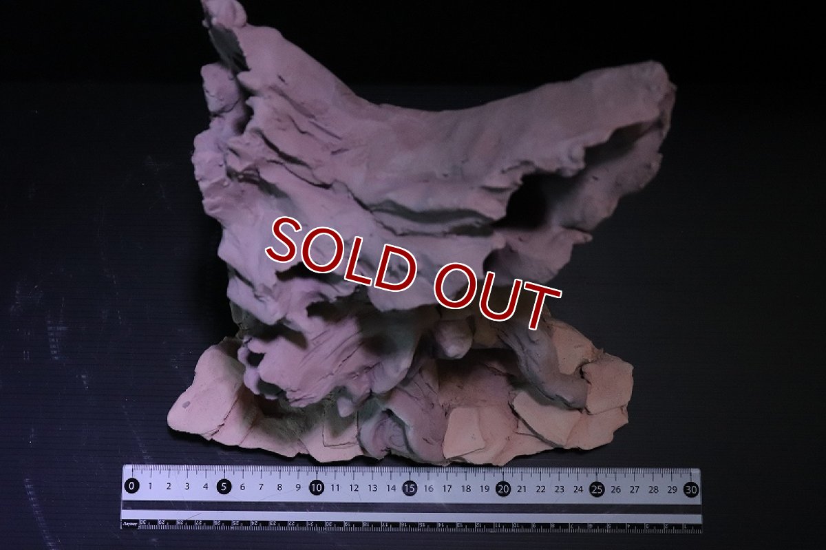 画像9: 【熱帯魚 シェルター】シェルタクラフタ No1 ROOTS XLサイズシェルター【個体販売】(淡水) (9)