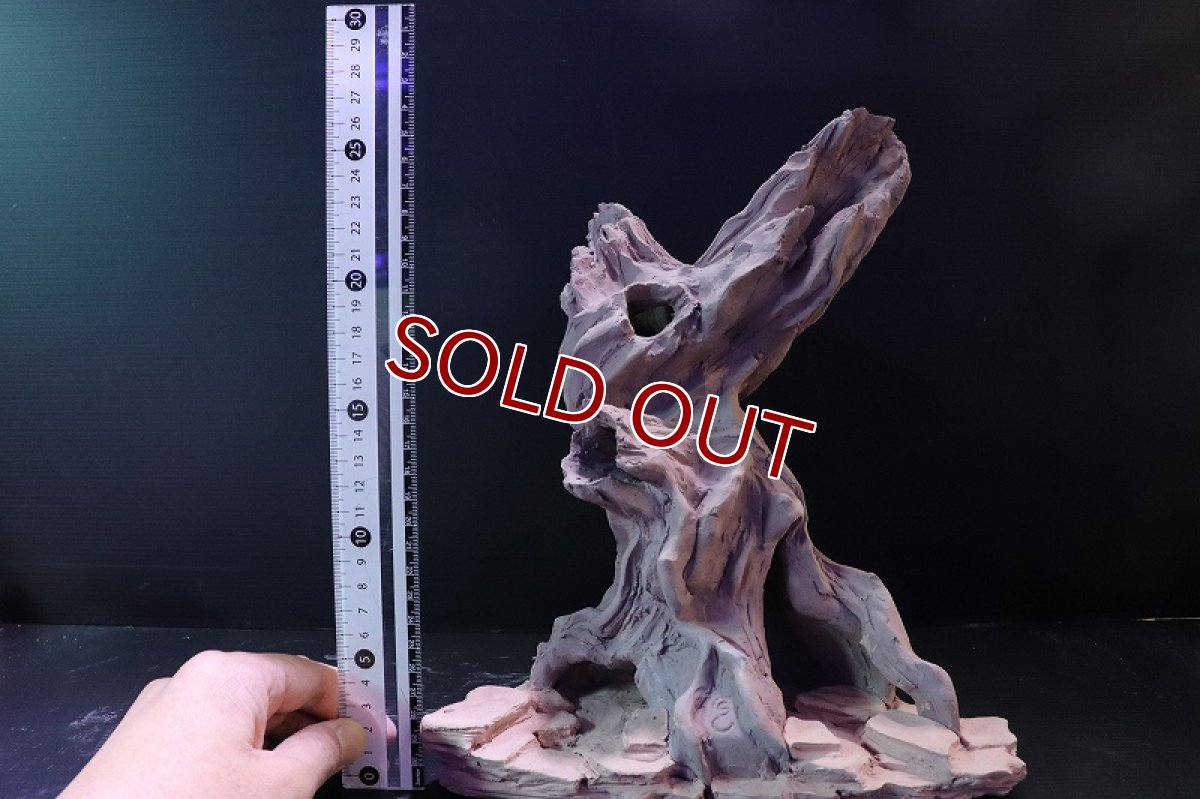 画像10: 【熱帯魚 シェルター】シェルタクラフタ No1 ROOTS XLサイズシェルター【個体販売】(淡水) (10)