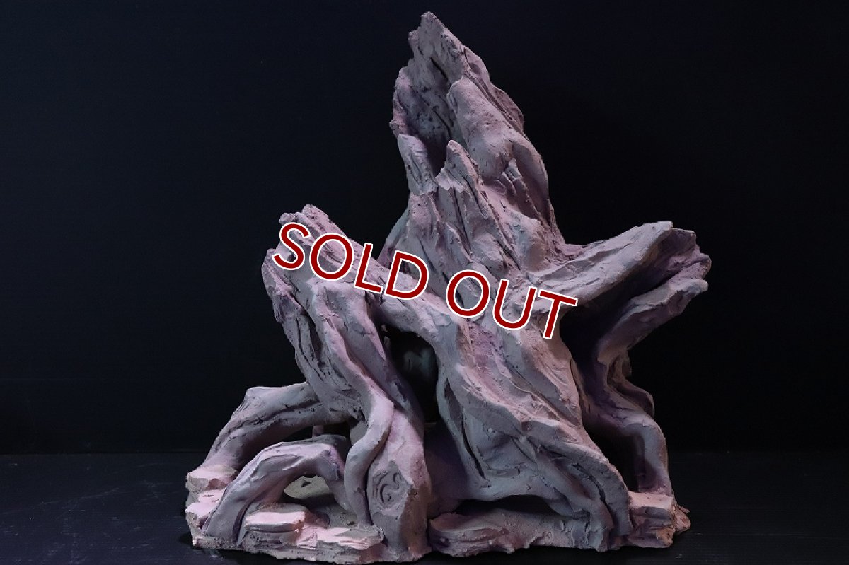 画像2: 【熱帯魚 シェルター】シェルタクラフタ No2 ROOTS XLサイズ シェルター【個体販売】(淡水) (2)