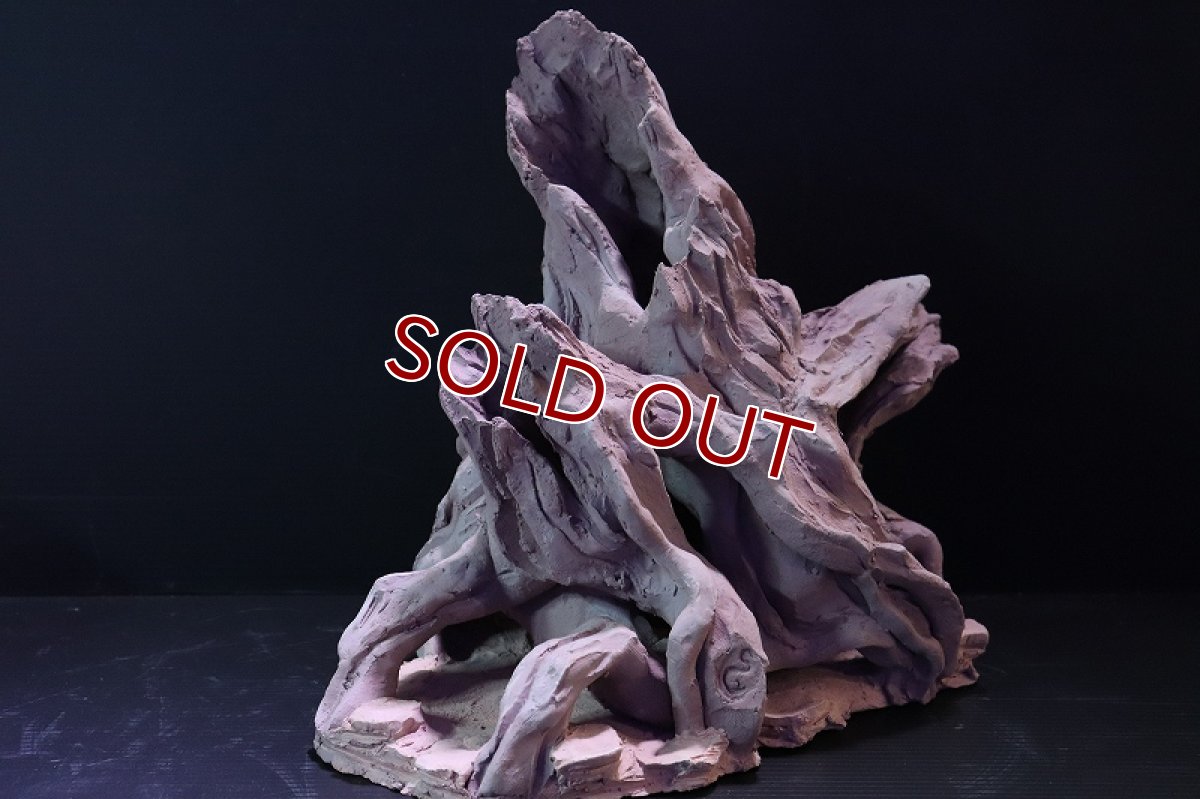 画像3: 【熱帯魚 シェルター】シェルタクラフタ No2 ROOTS XLサイズ シェルター【個体販売】(淡水) (3)