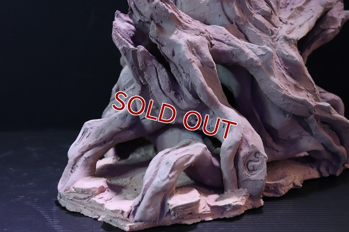 画像4: 【熱帯魚 シェルター】シェルタクラフタ No2 ROOTS XLサイズ シェルター【個体販売】(淡水) (4)