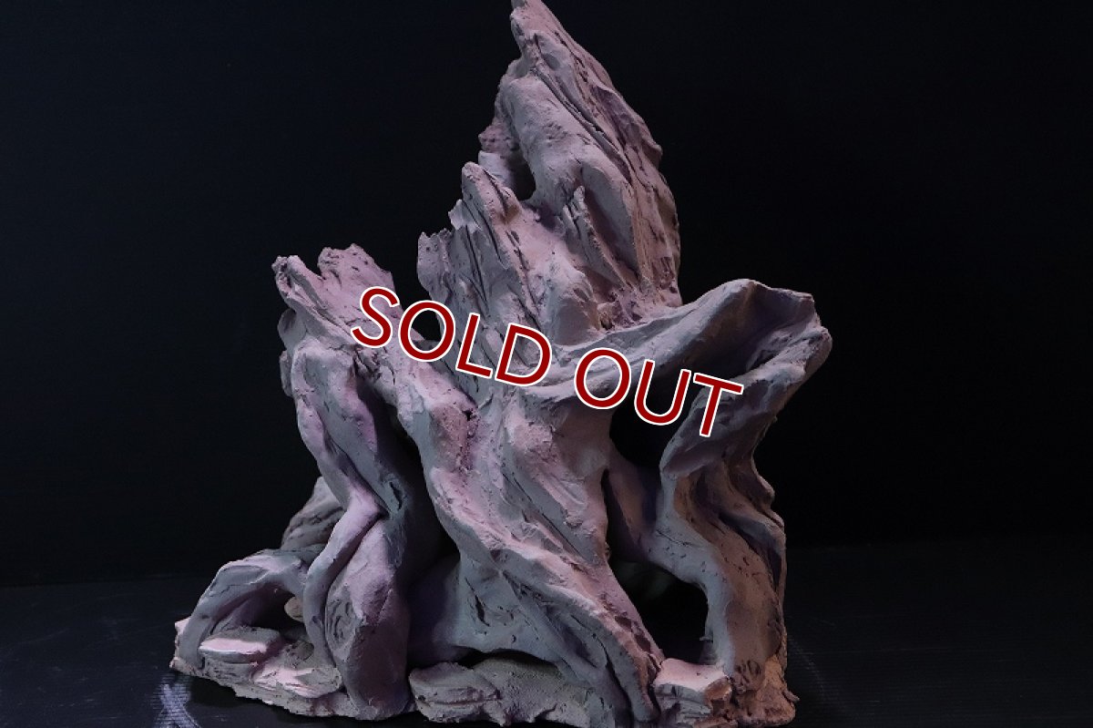 画像5: 【熱帯魚 シェルター】シェルタクラフタ No2 ROOTS XLサイズ シェルター【個体販売】(淡水) (5)