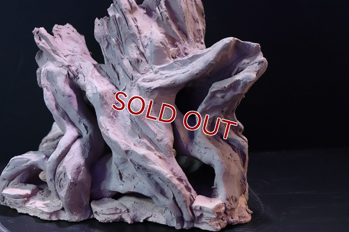 画像6: 【熱帯魚 シェルター】シェルタクラフタ No2 ROOTS XLサイズ シェルター【個体販売】(淡水) (6)