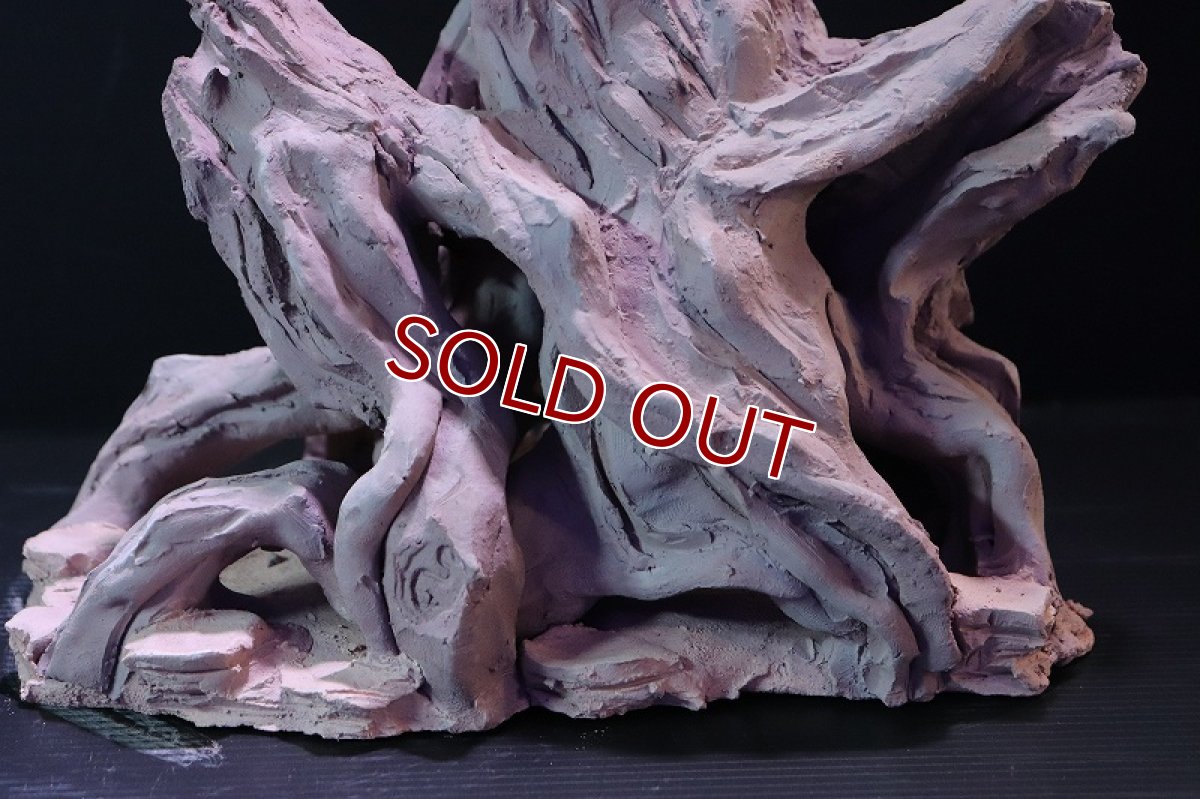 画像7: 【熱帯魚 シェルター】シェルタクラフタ No2 ROOTS XLサイズ シェルター【個体販売】(淡水) (7)