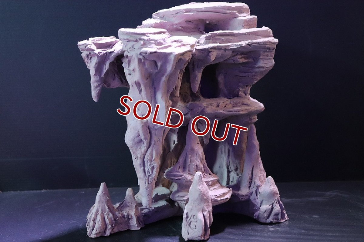 画像4: 【熱帯魚 シェルター】シェルタクラフタ No1 鍾乳石コーナー スペシャルDX シェルター【個体販売】(淡水) (4)