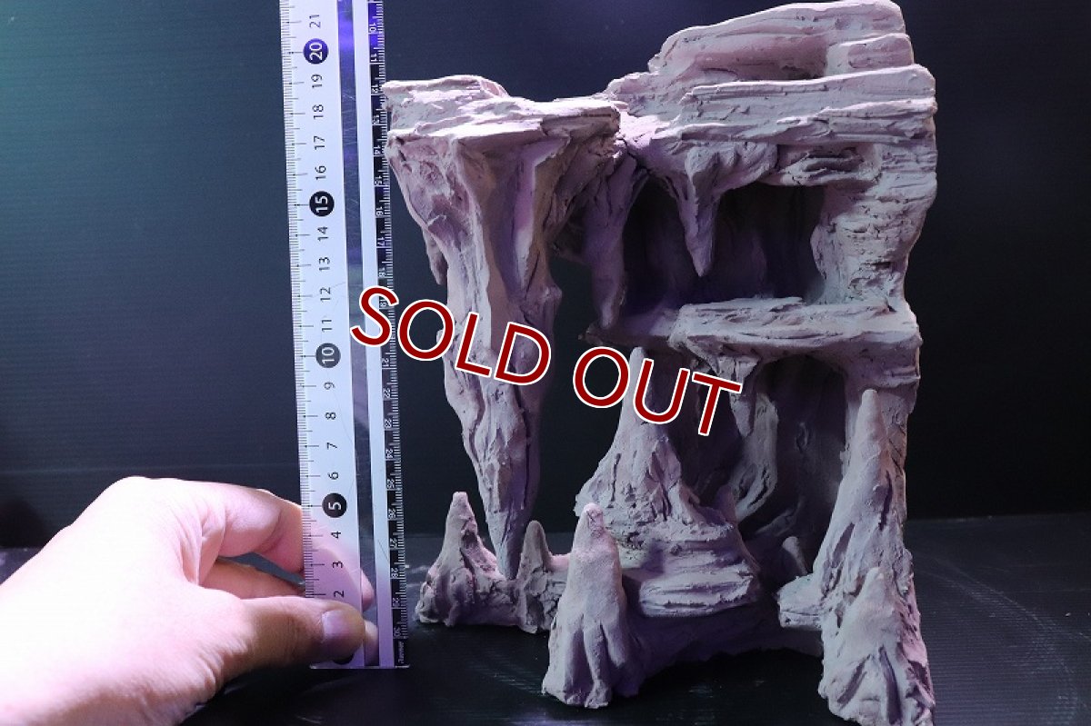 画像10: 【熱帯魚 シェルター】シェルタクラフタ No1 鍾乳石コーナー スペシャルDX シェルター【個体販売】(淡水) (10)