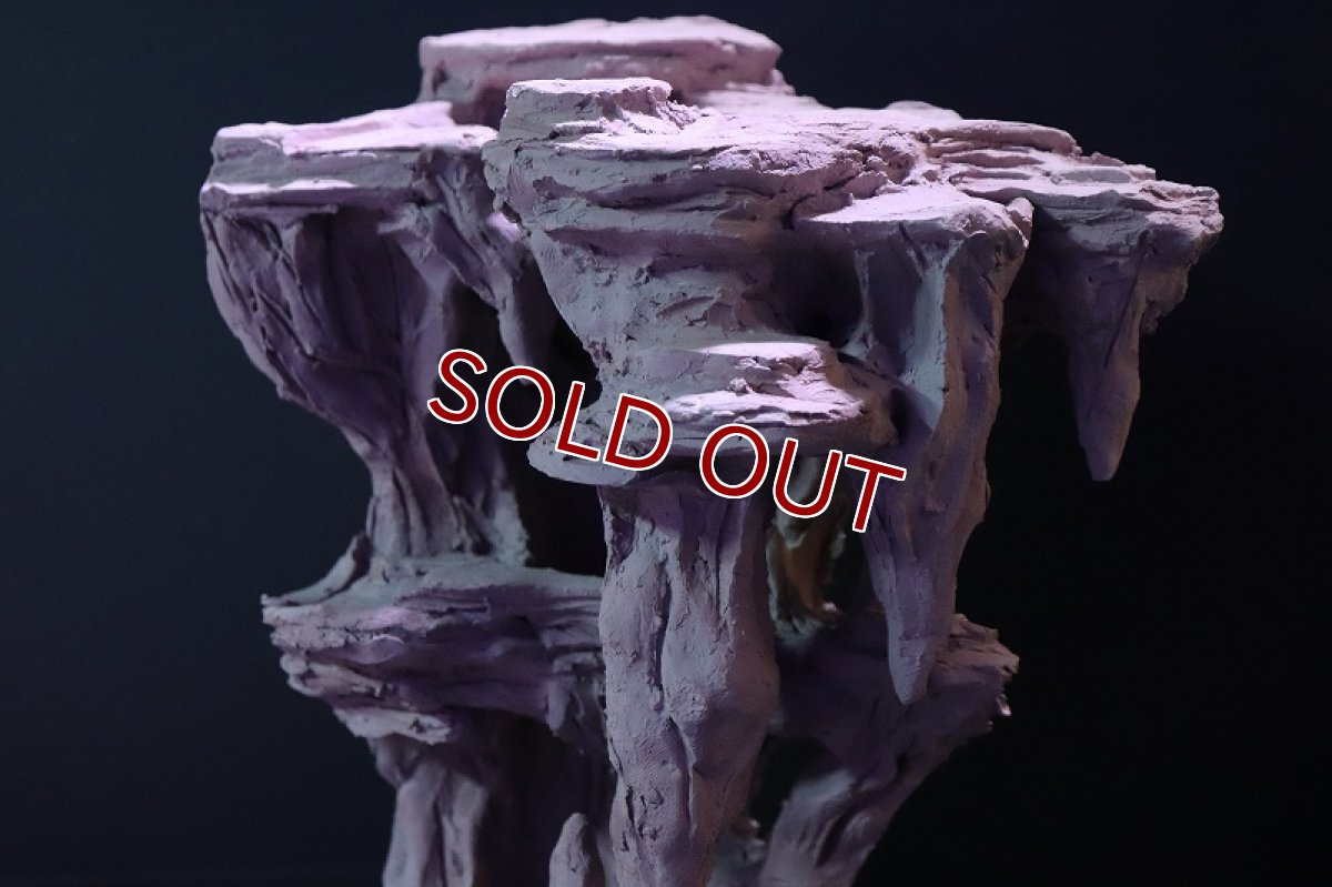 画像6: 【熱帯魚 シェルター】シェルタクラフタ No2 鍾乳石コーナー スペシャルDX シェルター【個体販売】(淡水) (6)