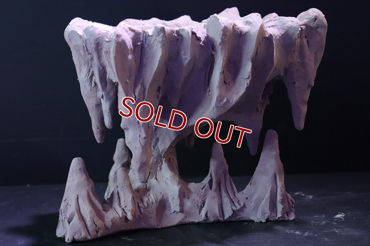 画像6: 【熱帯魚 シェルター】シェルタクラフタ No1 鍾乳石ポット Sサイズシェルター【個体販売】(淡水) (6)