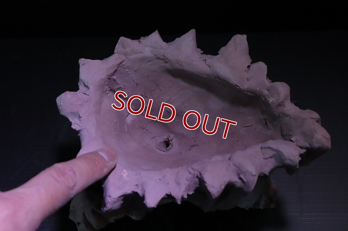 画像8: 【熱帯魚 シェルター】シェルタクラフタ No1 鍾乳石ポット Sサイズシェルター【個体販売】(淡水) (8)