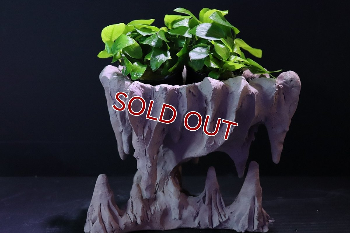 画像9: 【熱帯魚 シェルター】シェルタクラフタ No1 鍾乳石ポット Sサイズシェルター【個体販売】(淡水) (9)