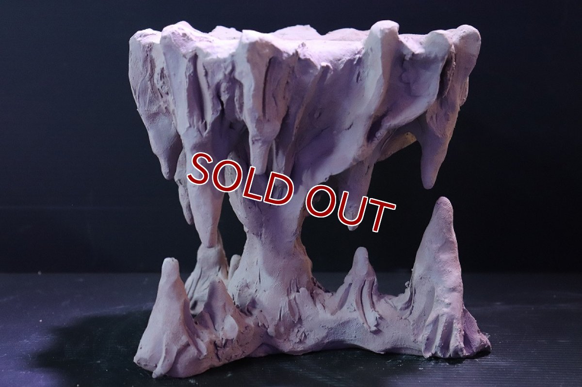 画像6: 【熱帯魚 シェルター】シェルタクラフタ No2 鍾乳石ポット Sサイズシェルター【個体販売】(淡水) (6)