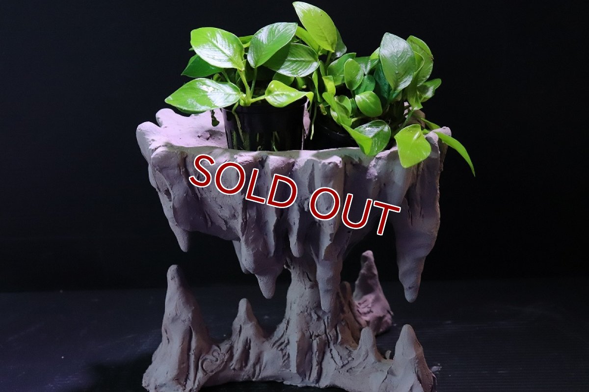 画像9: 【熱帯魚 シェルター】シェルタクラフタ No2 鍾乳石ポット Sサイズシェルター【個体販売】(淡水) (9)