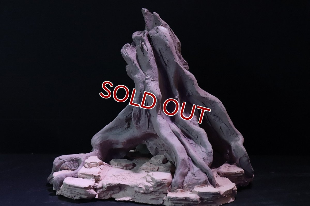 画像2: 【熱帯魚 シェルター】シェルタクラフタ No1 ROOTS Mサイズ シェルター【個体販売】(淡水) (2)