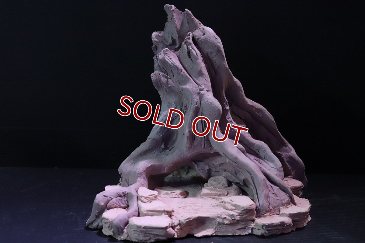 画像3: 【熱帯魚 シェルター】シェルタクラフタ No1 ROOTS Mサイズ シェルター【個体販売】(淡水) (3)